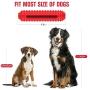 PETIZER Dog Squeaky Toys for Aggressive Chewers | Tough Toothbrush Puppy Chew Toy | Nearly Indestructible Rubber Toys for Pet Training, Teeth Cleaning, Playing and Chewing for Medium & Large Breeds