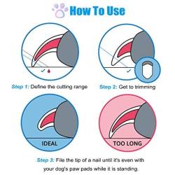 Professional Dog Nail Clippers for Golden Retriever, 3 in 1 Foldable Large Dog Toenail Clippers, Premium Metal Dog Nails Trimmers for Thick Nails with Safety Guard - Comb - Nail File (Large Breed)