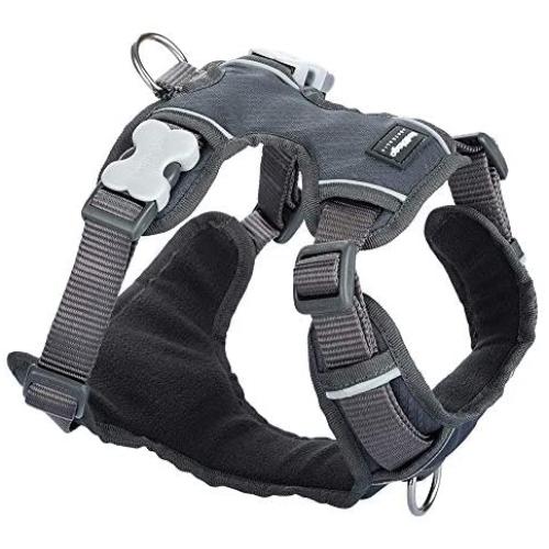 Red Dingo Padded Harness