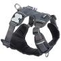 Red Dingo Padded Harness