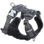 Red Dingo Padded Harness Red Dingo Padded Harness