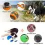 LaRoo Dog Flying Ring Dog Toy Water Floating, Outdoor Fitness Flying Discs, Tug of War Interactive Training Durable Soft Chew Toys for Large and Small Dogs. (Orange 7'' ) LaRoo Dog Flying Ring Dog Toy Water Floating, Outdoor Fitness Flying Discs, Tug of War Interactive Training Durable Soft Chew Toys for Large and Small Dogs. (Orange 7'' )