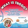 SPOT Tuggo Ball with Rope | Weighted Water-Filled Ball with Tug Rope Dog Toy | Red and Blue | for Small Medium & Large Pets (Medium (7 inch), Red)
