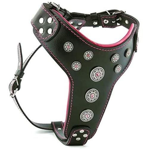 Bestia ''Bijou Genuine Leather Studded Dog Harness for Medium to Large Breeds