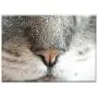 Triple Blank Wall Plate Cover - Cat Nose Feline Animal Pet Smell Sniffing Triple Blank Wall Plate Cover - Cat Nose Feline Animal Pet Smell Sniffing