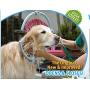 Woof Washer 360 - Perfect Dog Washing Station for Your Dog