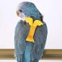 TBWHL Adjustable Parrot Bird Harness Leash Set Anti-bite Training Harness for Parrots