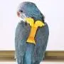 TBWHL Adjustable Parrot Bird Harness Leash Set Anti-bite Training Harness for Parrots TBWHL Adjustable Parrot Bird Harness Leash Set Anti-bite Training Harness for Parrots