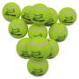 EXPAWLORER Dog Squeaky Tennis Balls for Dogs Set of 12 for Pet Playing and Training 2.5''