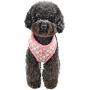 Pinkaholic New York Joceline Harness - Indian Pink - L