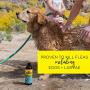 YAYA ORGANICS Dog Whisperer Tick + Flea Dog Shampoo