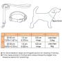 ThinkPet Cute Puppy Dog Collar and Lead Set Colorful Strong Adjustable for Small Dogs