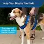 PetSafe EasySport Dog Harness, Adjustable Padded Dog Harness with Control Handle and Reflective Piping PetSafe EasySport Dog Harness, Adjustable Padded Dog Harness with Control Handle and Reflective Piping