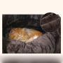 CAT Bed - Cat Sleeping Bag with a Non-Slip Bottom, Comfortable, Warm and Machine Washable, Suitable for Small and Medium Pets,brownM：60x60x42cm