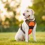 Supet Dog Harness, No Pull Dog Harness Puppy Harness Front Clip Pet Vest Harness with Handle Adjustable Dog Padded Harness 28M Reflective Oxford Comfortable Dog Harness for Outdoor Training Walking Supet Dog Harness, No Pull Dog Harness Puppy Harness Front Clip Pet Vest Harness with Handle Adjustable Dog Padded Harness 28M Reflective Oxford Comfortable Dog Harness for Outdoor Training Walking