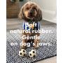 Set of 2 Extra Small Soccer Balls - Soft, Squeaky Dog Toys - Natural Rubber (Latex) - for Small Dogs & Puppies - 2'' Diameter - Comply with Same Safety Standards as Childrens Toys - Indoor Play