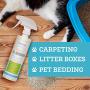 Oxyfresh All Purpose Pet Deodorizer for Dogs and Cats – Non Toxic Pet Deodorizer Spray. Perfect for Every Kind of Pet Odor: Kennel Odors, Kitten Litter Boxes, Urine, Skunk. 16 oz.