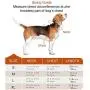 Dog Harness No Pull Reflective: Adjustable Pet Puppy Harness with 2 Leash Clips Comfortable Padded Dog Vest, Easy Control Handle for Small Medium Large Dogs Training, Outdoor Running Walking,M