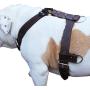 Genuine Leather Dog Harness X-Large 33''-40'' Chest, 1.3'' Wide Adjustable Straps