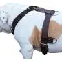Genuine Leather Dog Harness X-Large 33''-40'' Chest, 1.3'' Wide Adjustable Straps Genuine Leather Dog Harness X-Large 33''-40'' Chest, 1.3'' Wide Adjustable Straps