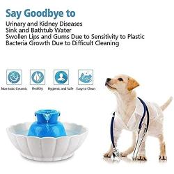 DFVV Pet Water Dispenser Intelligent Ceramic Pet Automatic Fountain Water Dispenser, Circulation Filter Pet Cat Water Feeder, Silent Drinking Water Artifact Pet Feeder (Color : White)