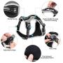 Petties&Sweeties No Pull Dog Harness, Reflective Adjustable Soft Padded Vest Unique Colors,with a Easy Control Training Handle