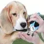 MIU COLOR Pet Grooming Kit, Professional Pet Deshedding Brush and Cat Dog Nail Clippers, Effectively Deshedding by Up to 95%, Pet Nail Clippers with Safety Guard Dogs and Cats MIU COLOR Pet Grooming Kit, Professional Pet Deshedding Brush and Cat Dog Nail Clippers, Effectively Deshedding by Up to 95%, Pet Nail Clippers with Safety Guard Dogs and Cats