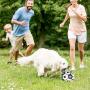 Dudi Interactive Soccer Ball Toy-Suitable for Outdoor Parks Fields Lakes Swimming Pools for Small,Medium and Large Breeds Training Fun