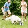 Dudi Interactive Soccer Ball Toy-Suitable for Outdoor Parks Fields Lakes Swimming Pools for Small,Medium and Large Breeds Training Fun