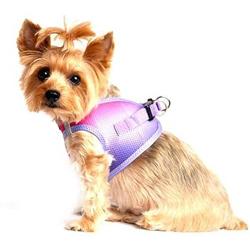 American River Dog Harness Ombre Collection - Raspberry Sundae (M (16'' - 19'' Girth))