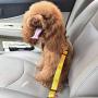Pet Pet Products Universal Cat Dog Safety Adjustable Car Seat Belt Harness Leash Puppy Seat-Belt Travel Clip Strap Leads (Color : Army Green)