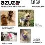 azuza Dog Harness for Small Dogs, Reflective Step in Dog Vest Harness, All Weather Comfort Air Mesh Puppy Harness azuza Dog Harness for Small Dogs, Reflective Step in Dog Vest Harness, All Weather Comfort Air Mesh Puppy Harness