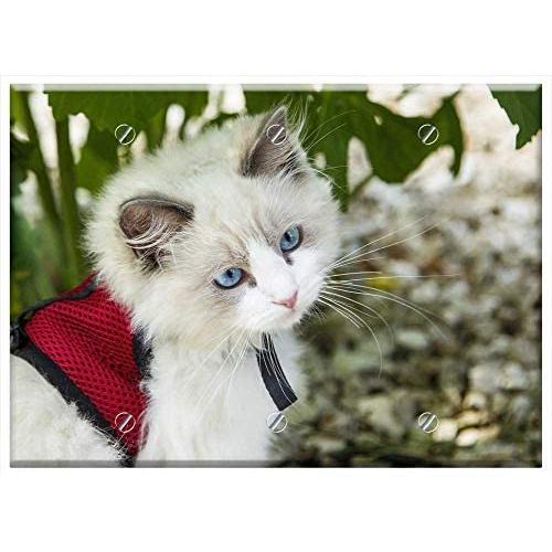 Triple Blank Wall Plate Cover - Kitten Cat Cats Animals Pet