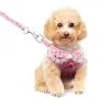 Didog Adjustable Pet Mesh Vest Harness and Leash Set with Cute Bell for Puppy Small Medium Dogs and Cats