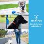 TreatPod Treat Holder for Leash - Spill Free Storage Container and Dog Training Pouch