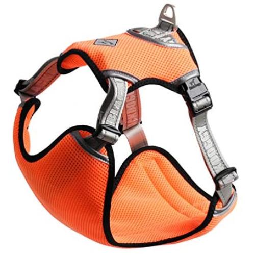 SGODA Dog Cooling Harness Cooler Exploring Vest