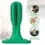 MASTERPETZ Dog Toothbrush Stick Chew Toys for Puppy Dental Care Effective Teeth Cleaning, Bite Resistant Rubber Brushing MASTERPETZ Dog Toothbrush Stick Chew Toys for Puppy Dental Care Effective Teeth Cleaning, Bite Resistant Rubber Brushing
