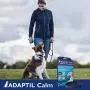 Adaptil Calm On-The-Go-Collar for Dogs (All Sizes ) | Constant Calming and Comfort Everywhere (Packaging may vary)