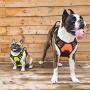 Vovodog Dog Harness No-Pull Pet Harness, Adjustable Outdoor Walking Pet Reflective Oxford Soft Vest with 2 Metal Rings and Handle Easy Control for Small Medium Large Dogs