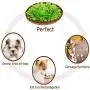 Lainrrew Dog Snuffle Mat, Interactive Dog Puzzle Encourage Natural Foraging Skills & Stress Release Dog Snuffle Bowl for Dogs Cats Pets Lainrrew Dog Snuffle Mat, Interactive Dog Puzzle Encourage Natural Foraging Skills & Stress Release Dog Snuffle Bowl for Dogs Cats Pets