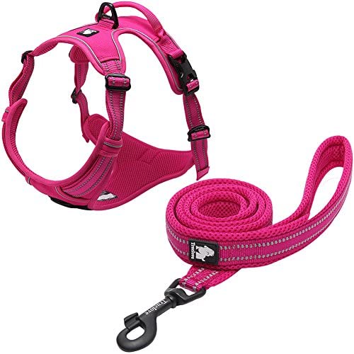 Creation Core Reflective Nylon Dog Harness and Training Leash Set Padded Durable Adjustable