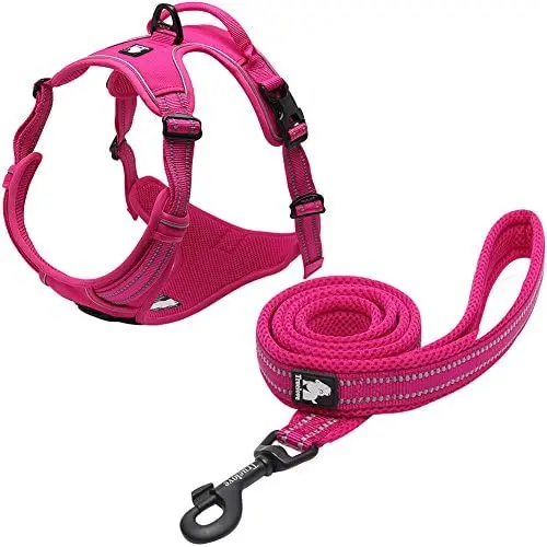 Creation Core Reflective Nylon Dog Harness and Training Leash Set Padded Durable Adjustable Creation Core Reflective Nylon Dog Harness and Training Leash Set Padded Durable Adjustable