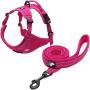 Creation Core Reflective Nylon Dog Harness and Training Leash Set Padded Durable Adjustable
