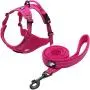 Creation Core Reflective Nylon Dog Harness and Training Leash Set Padded Durable Adjustable Creation Core Reflective Nylon Dog Harness and Training Leash Set Padded Durable Adjustable