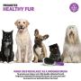 Double-Sided Pet Brush for Grooming & Massaging Dogs, Cats & Other Animals – Fur Detangling Pins & Coat Smoothing Slicker Bristles, Double The Brushing Groom Power in One Tool