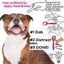 The Blissful Dog Staffordshire Pit-Bull Terrier Nose Butter - Dog Nose Butter, 2 Ounce