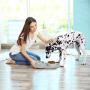 DogBuddy Dog Bowls, Dog Bowl for Food & Water, Dog Food Bowls for Medium & Large Dogs, Stainless Steel Dog Bowls, Dog Feeder with Dog Bowl Mat, Pet Bowl & Pet Food Mat Set