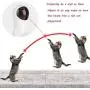 1PC LED Automatic Pet Toy Automatic Cat Toys Intelligent Automatic Cat Sports Training Fun Rotating Toy Multi-Angle USB Battery Dual-Use Cat Partner Toy 1PC LED Automatic Pet Toy Automatic Cat Toys Intelligent Automatic Cat Sports Training Fun Rotating Toy Multi-Angle USB Battery Dual-Use Cat Partner Toy
