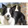 Rogz Grinz Medium Ball Dog Toy