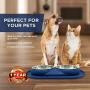 Bonza Double Cat Bowls, 12 Ounce Premium Stainless Steel Dog Bowls and Cat Food Bowls with Non-Spill Silicone Base for Small Dogs and Cats